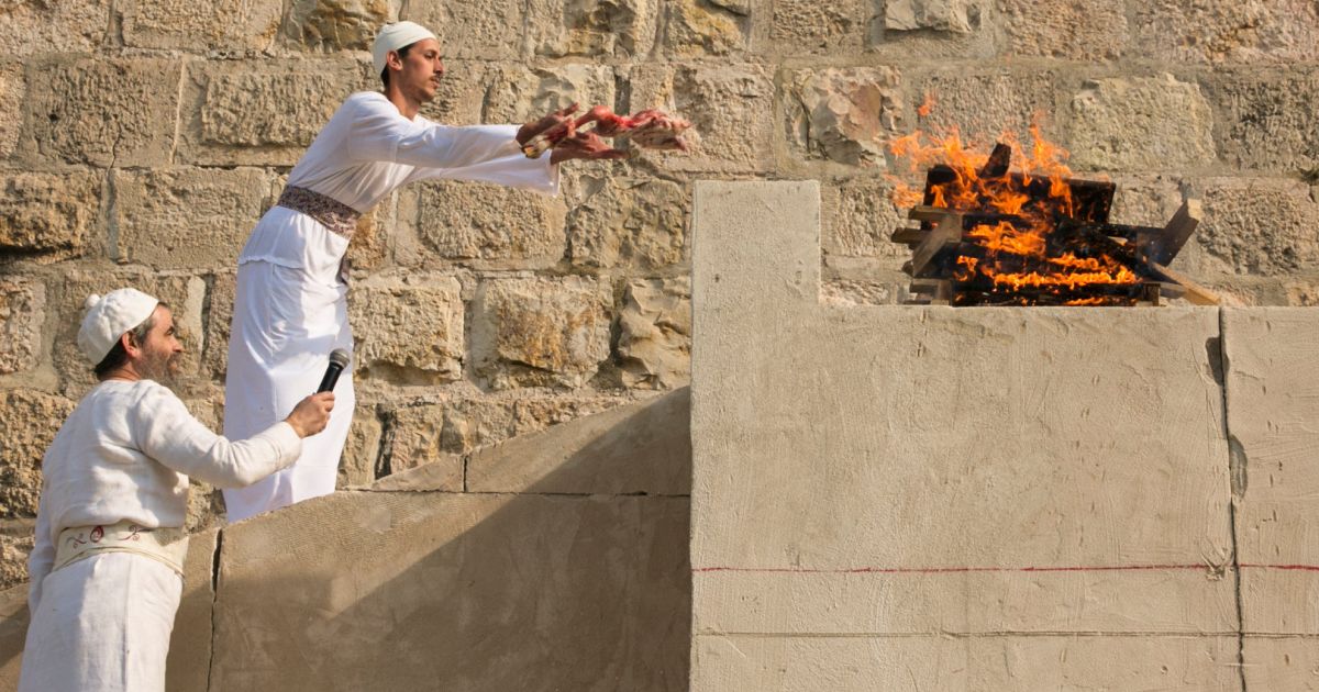 Prophecy Alert: Blasphemy Planned on the Temple Mount and Coronavirus Update
